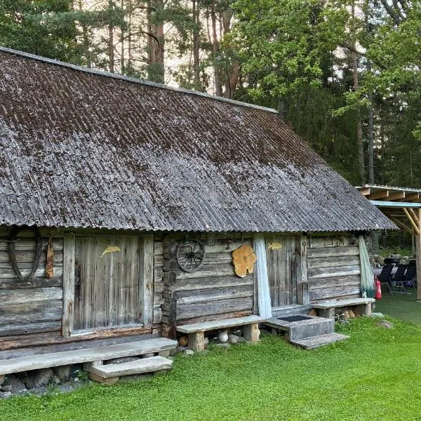 Tammemäe ait, hotel in Haapsi