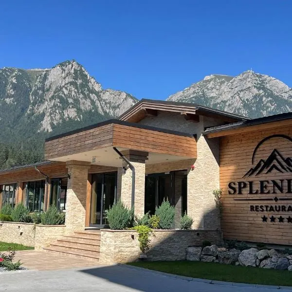 Hotel Restaurant Splendor – hotel w mieście Buşteni