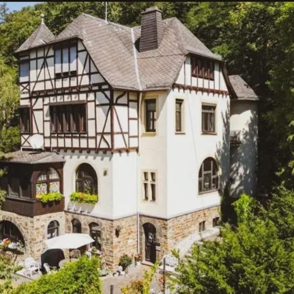 Ring Residenz Apartments in Adenau direkt am Nürburgring，阿德瑙的飯店