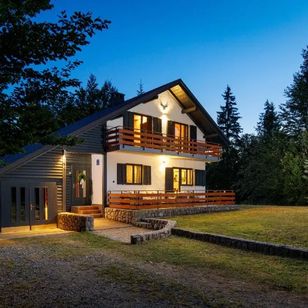 Chalet Mint, hotel in Delnice