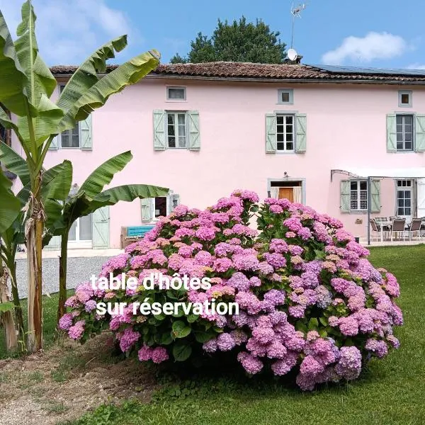 Montastruc-de-Salies में, होटल La salamandre de l'escat chambres et table d'hôtes
