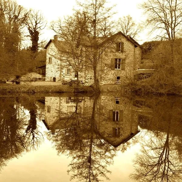 Gite du moulin de Verneiges, hótel í Verneiges