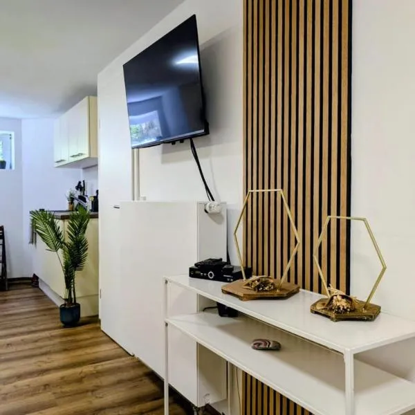 Family apartment with pool 11 km to Legoland، فندق في لايبهايم