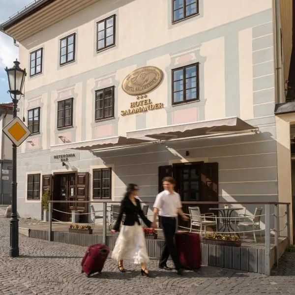 Hotel Salamander - Garni, hotel en Banská Štiavnica