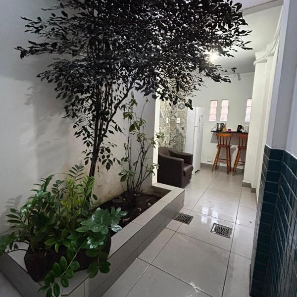 Espaço Physis - Foto 4