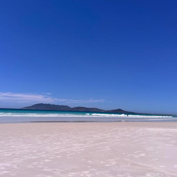 Praia das Dunas, Ideal para famílias e pets