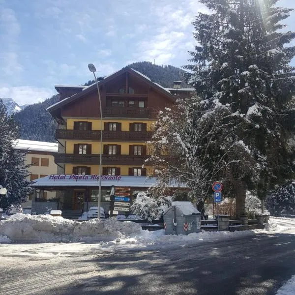 Hotel Pineta – hotel w mieście Ponte di Legno