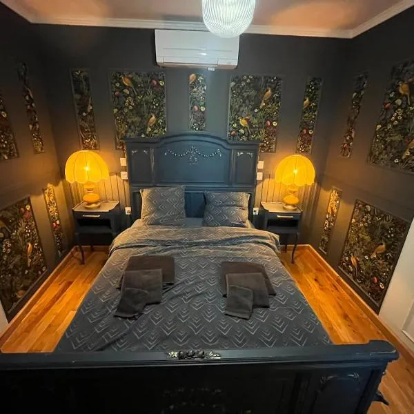 Le Rococo f2 climatisé plein centre, hotel in Monistrol-sur-Loire
