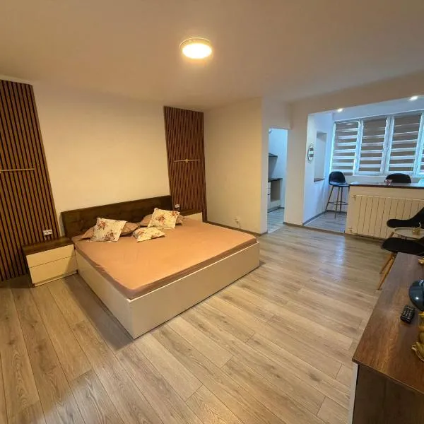 Anna House 2, hotel di Drobeta-Turnu Severin
