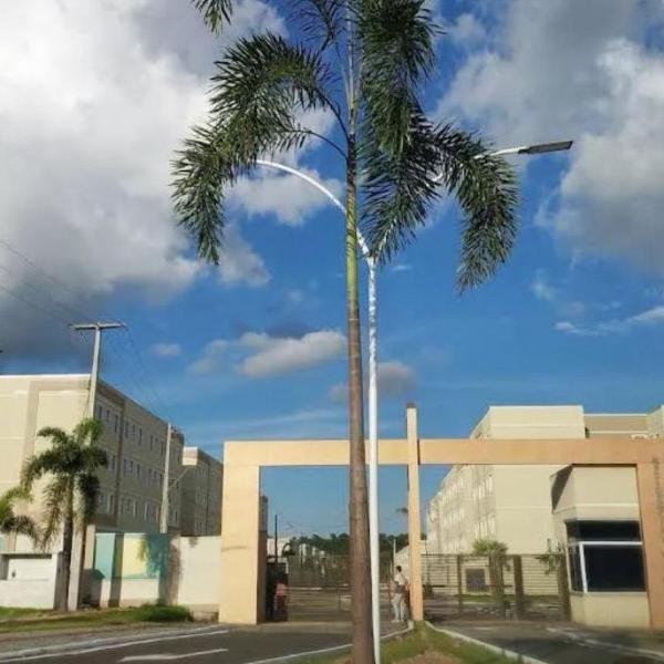 Apartamento na Região do Grande Dirceu - Foto 2