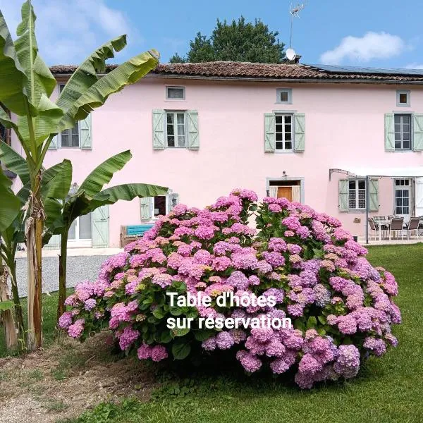 La salamandre de l'escat chambres et table d'hôtes: Montastruc-de-Salies şehrinde bir otel