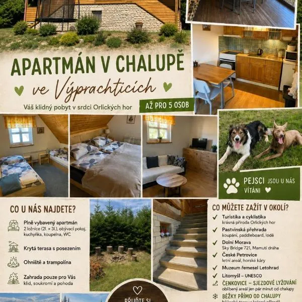 Chata u lesa, hotel in Výprachtice