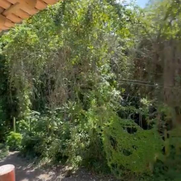Casa Bella Trancoso - Foto 2