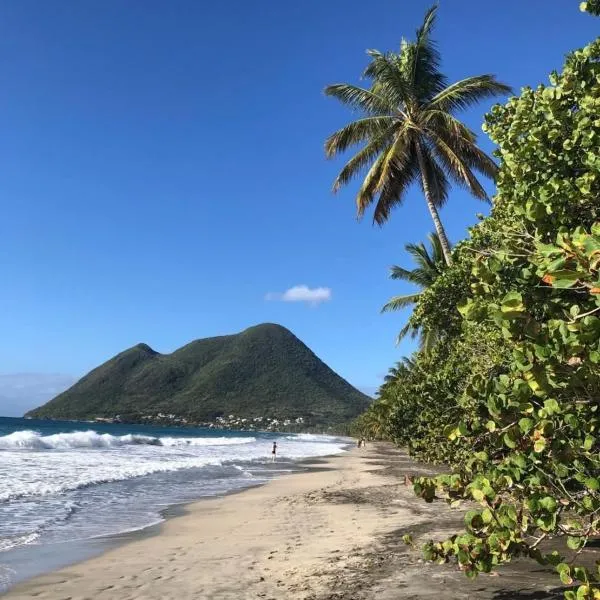 Abricotier à proximité des plages du sud, hotel in Rivière-Pilote