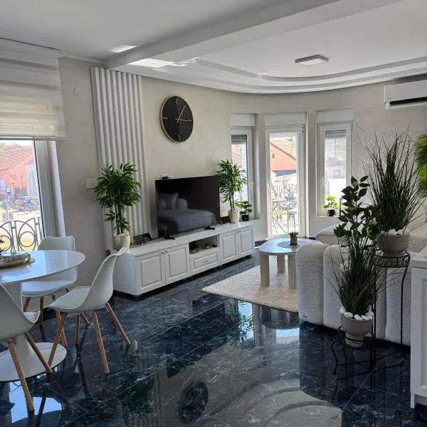 Angel Luxury Apartment، فندق في Kikinda