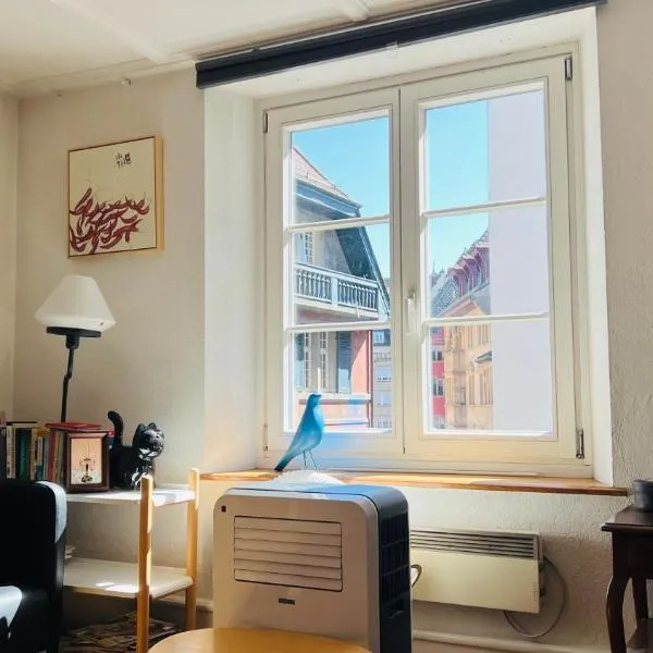 In Swiss Home - Rathaus from 1284 historical Apartment, hotel in Basel