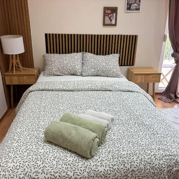 Cozy Family House, hotel in Lazarevac