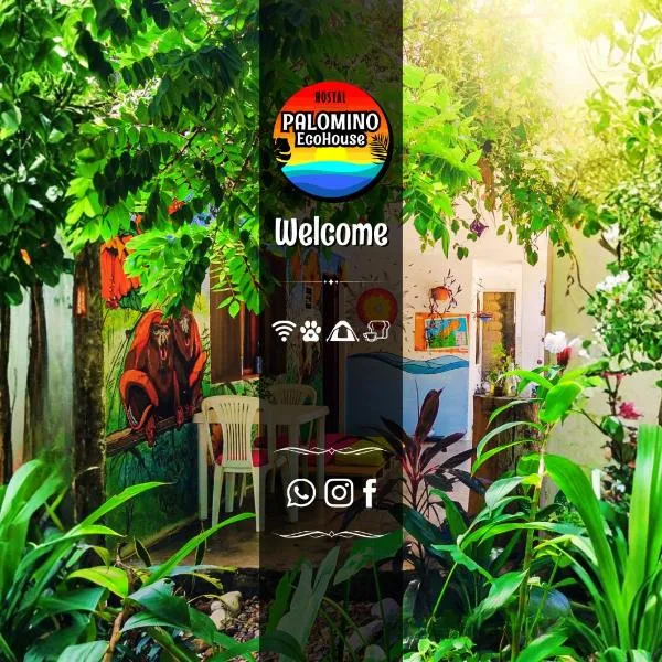 Hostal Palomino EcoHouse & Camping, hotel in Palomino