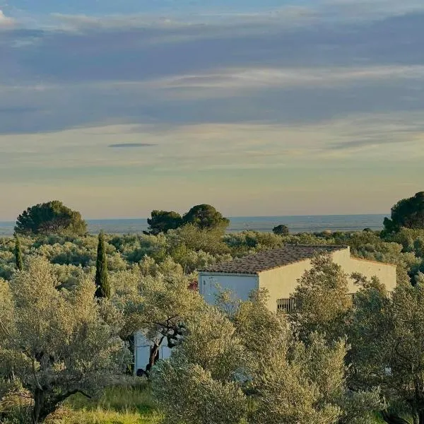 Can Mimosa Guesthouse, hotelli kohteessa Tortosa