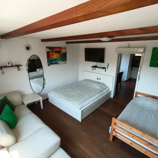 Private house near Terme Čatež, hotelli kohteessa Cerklje ob Krki