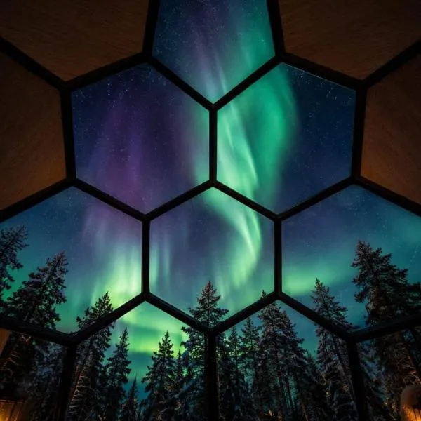 SKOG Aurora Glass Igloos, hotelli Kainuussa