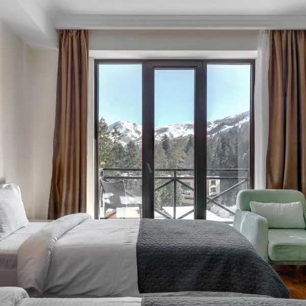 Kokhta Plaza Boutique Hotel, hotel v destinaci Bakuriani
