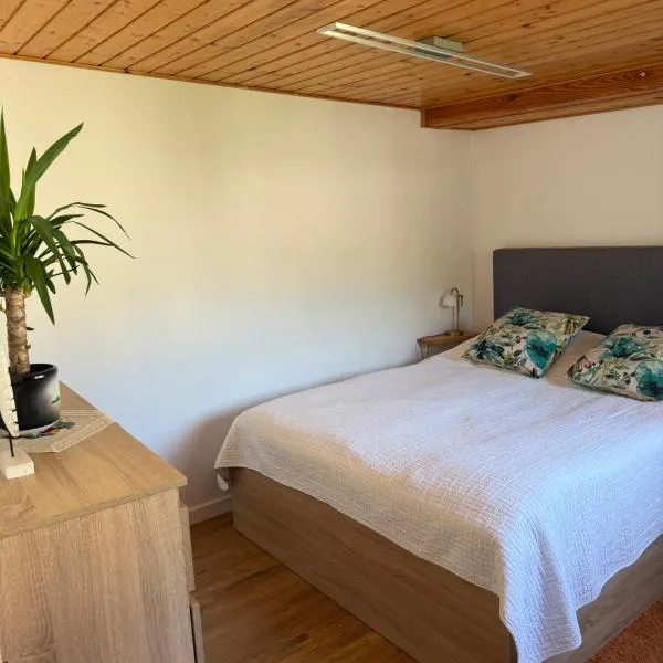 Apartament Skórcz Kociewie Pomorze Gdańskie Agroturystyka, hotel en Skórcz