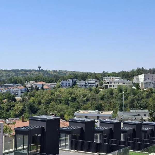 Dedinje Panorama, hotel v Bělehradě