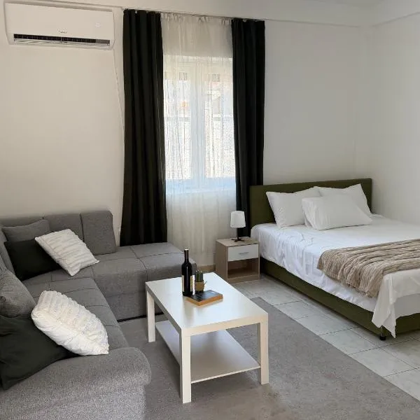 Nina House Montenegro, hotell i Podgorica
