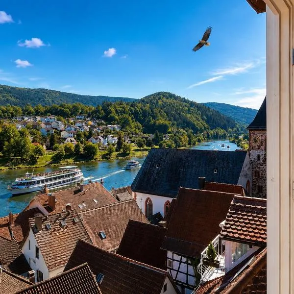 Neckarblick Historische Altstadt und Sonnenterrasse, hotel din Hirschhorn