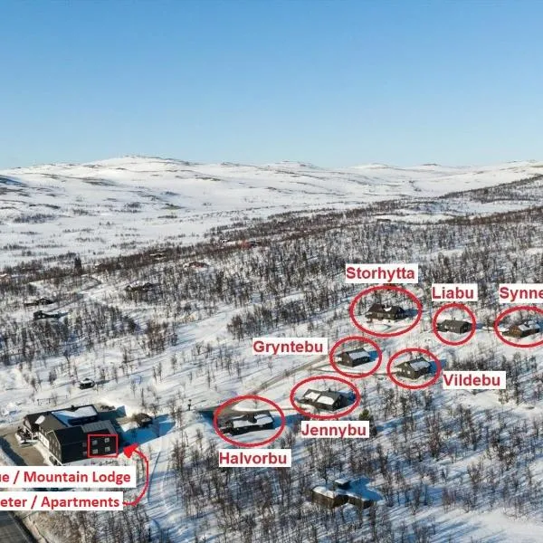 Torsetlia Cottages and Apartments, hotel sa Uvdal