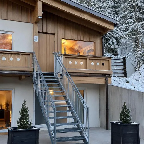 Haus Dienten Apartments nahe den Bergbahnen mit HochkönigCard, hotel i Dienten am Hochkönig
