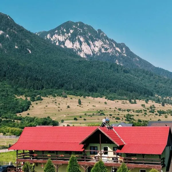 Maricom Home, hotell i Zărneşti