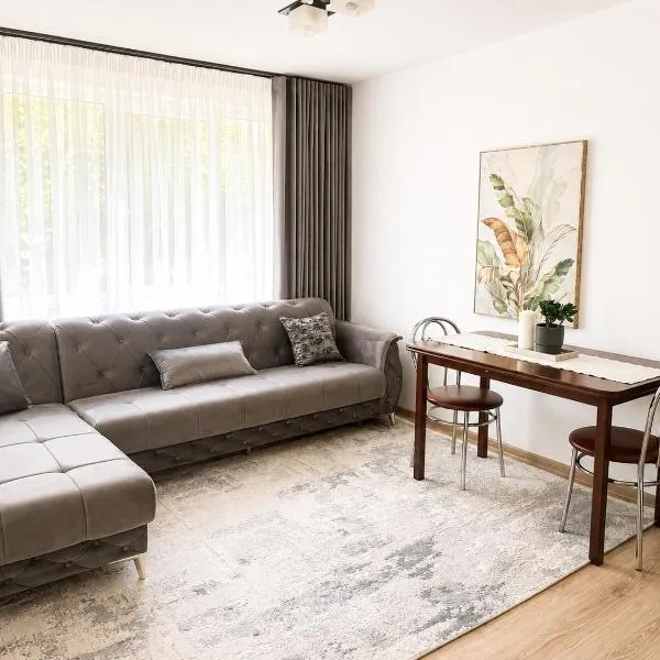Apartament Central Pietonalul Unirii, hotel v destinácii Botoşani