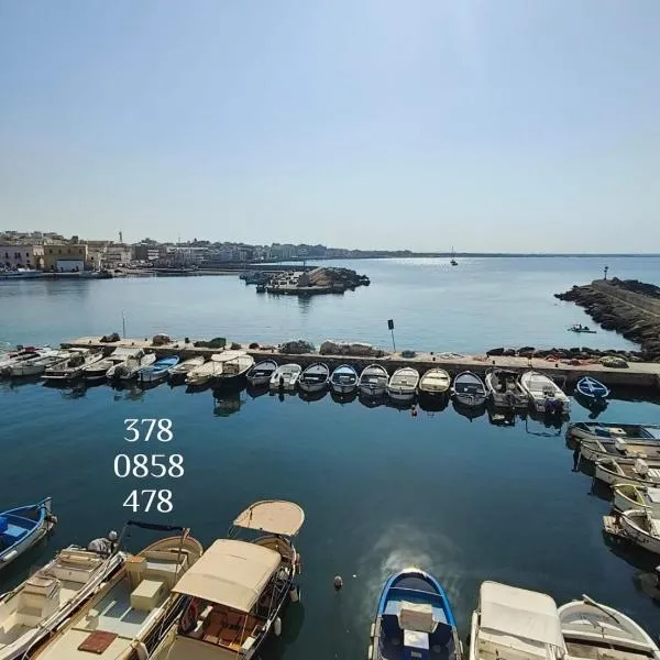 Gallipoli Dragonfly Inn - Appartamento, hotel in Gallipoli