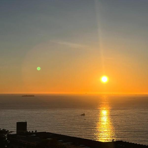 Flat Vidigal