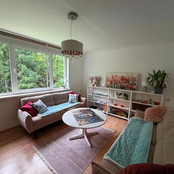 Apartment with sauna and fireplace, מלון בViitna