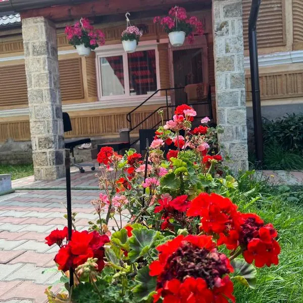 Casa traditionala Subcetate, hotel din Subcetate
