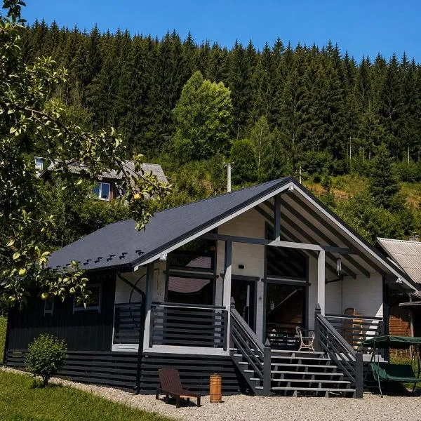 The Voytul River: Vorokhta şehrinde bir otel