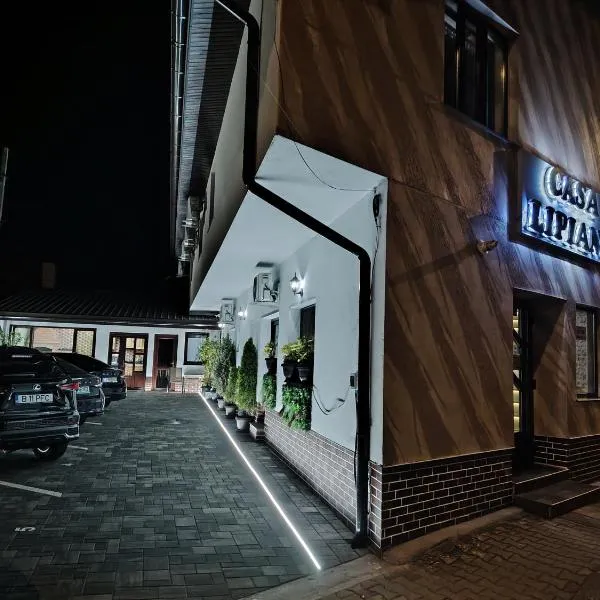 Casa Lipianu, отель в городе Тыргу-Жиу