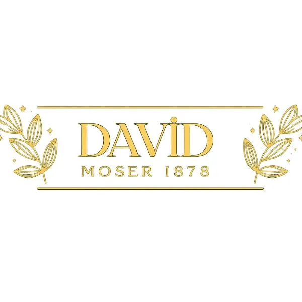 David Moser 1878 PANSİYON, hotel i Kars