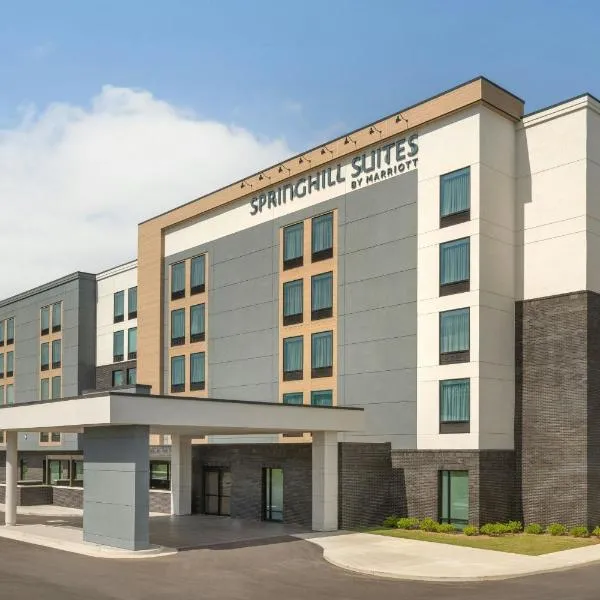 SpringHill Suites by Marriott Braselton, hotel en Braselton