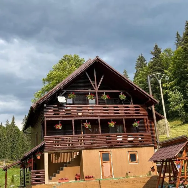 Cabana Sânziana, hotel v mestu Gîrda de Sus