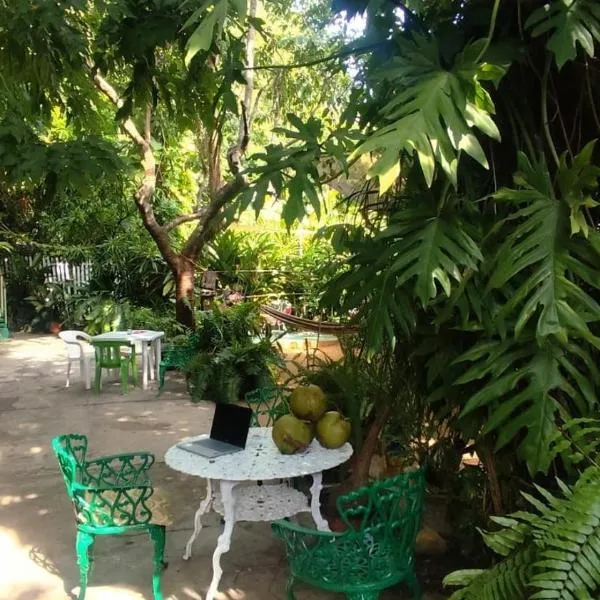 Jungle Palace hostal santaella, hotel in Puerto Escondido