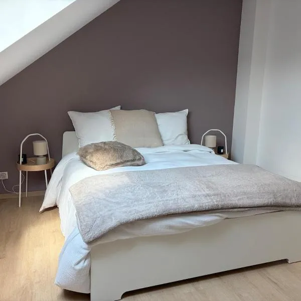 Sélange - 1 ou 2 chambres de standing avec SDD privative、メサンシーのホテル