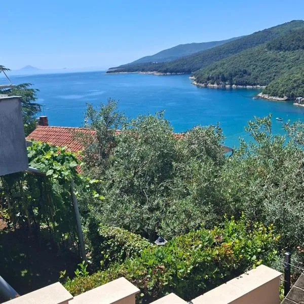 Apartman IDEA, viešbutis Rabace