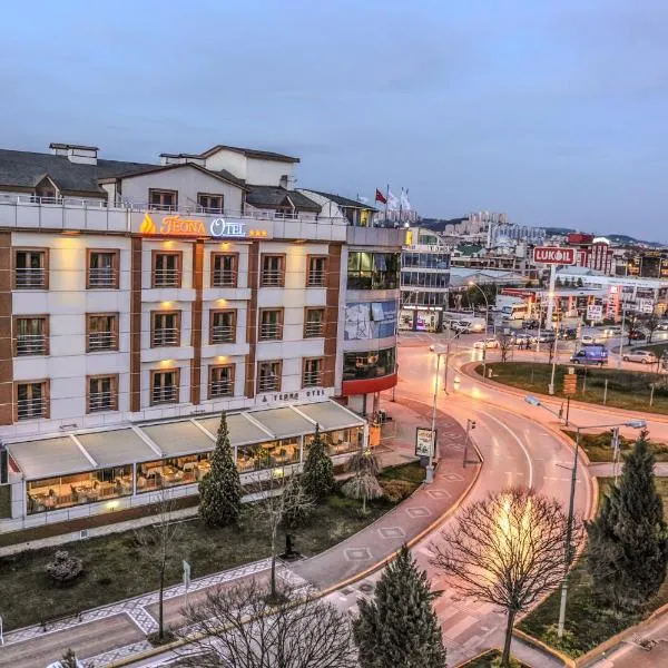 Teona Hotel, готель у Коджаелі