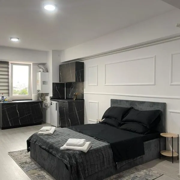 Arona Cozy Studio, khách sạn ở Bacău