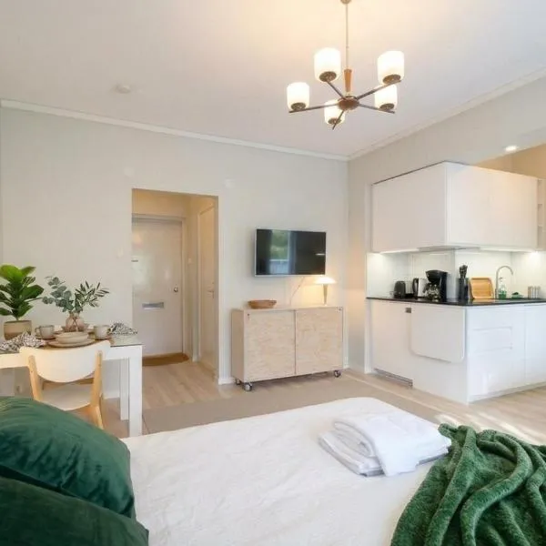 Borg Kiertokatu, Spacious Studio Apt, Free Parking, готель у місті Порі