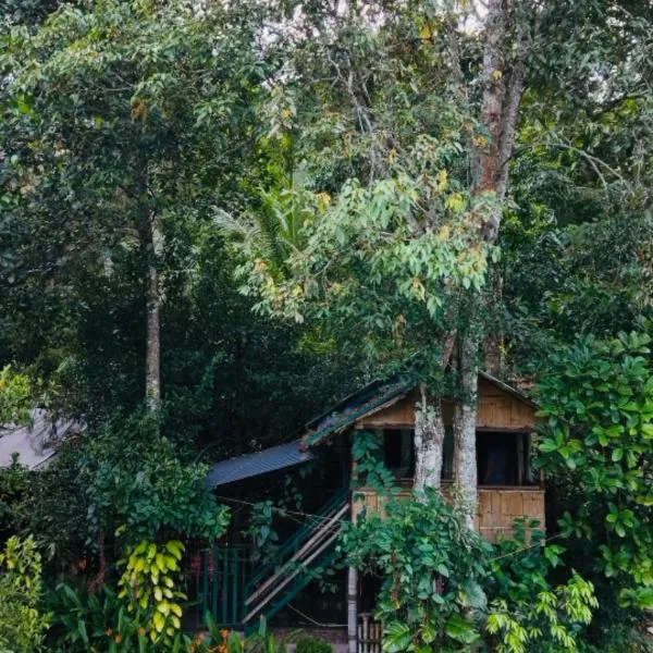 Fab - Bamboo Hut with Open Shower, hotel v destinaci Munnar